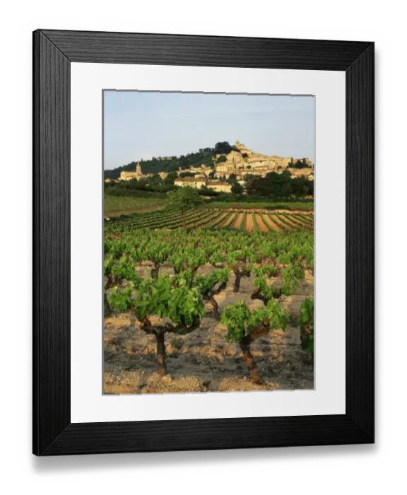 Framed Print : France, Bonnieux, Vaucluse, Luberon, View of Provence vineyard