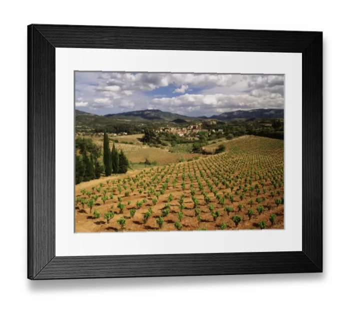 Framed Print : France, Darban-Corbieres, Aude, Languedoc, View of Corbieres vineyard Framed Print : France, Darban-Corbieres, Aude, Languedoc, View of Corbieres vineyard