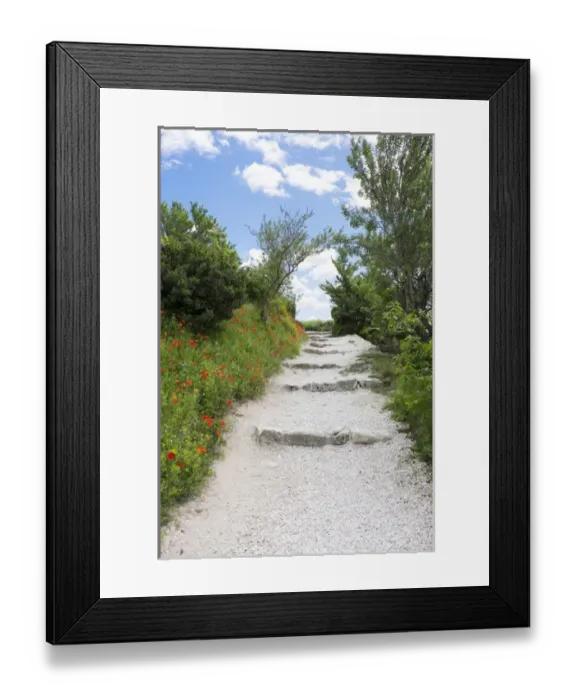 Framed Print : poppies on the grounds of Les Baux castle ruins. Les Baux, in and around the old Chateau Framed Print : poppies on the grounds of Les Baux castle ruins. Les Baux, in and around the old Chateau