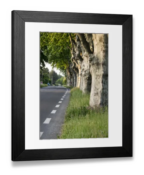 Framed Print : France, St. Remy, Rural road Framed Print : France, St. Remy, Rural road