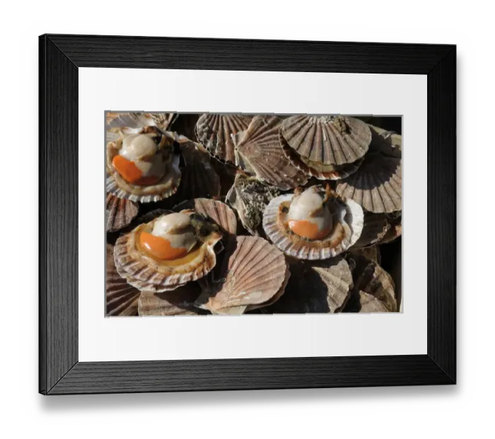 Framed Print : Europe, France, Paris. Scallops, Thursday Market, Boulevard Saint-Germain