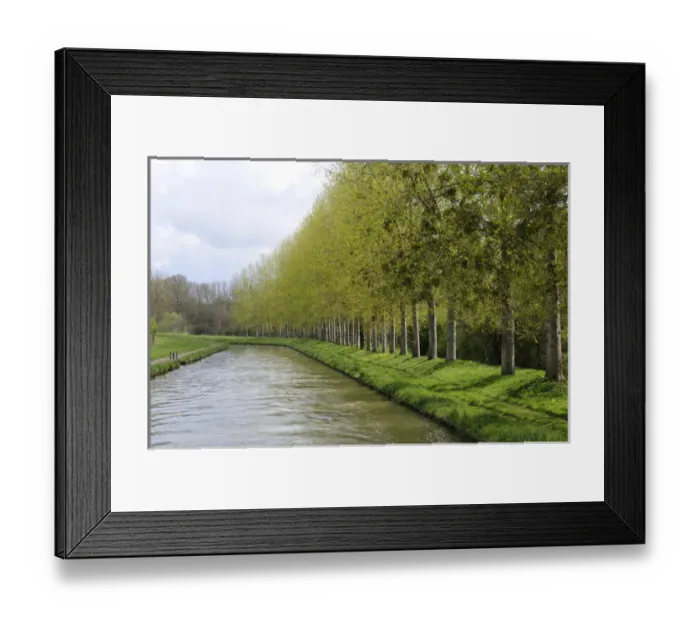 Framed Print : Europe, France, Burgundy, Nievre. Spring trees on the bank of the Nivernais Canal Framed Print : Europe, France, Burgundy, Nievre. Spring trees on the bank of the Nivernais Canal