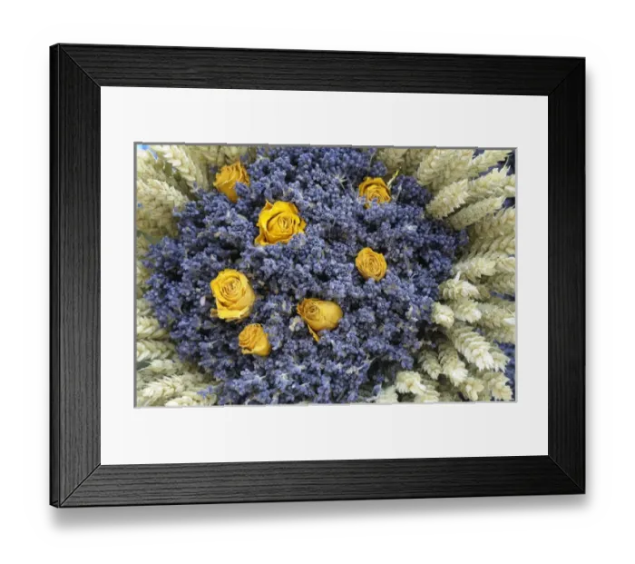 Framed Print : Europe, France, Provence-Alpes-Cote d Azur, Vaucluse, Lourmarin. Dried roses