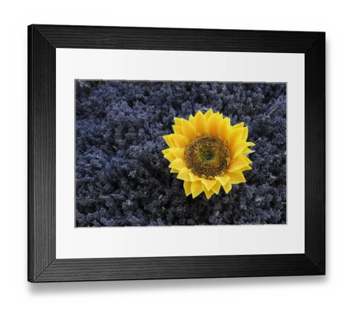 Framed Print : Europe, France, Provence-Alpes-Cote d Azur, Vaucluse, Lourmarin