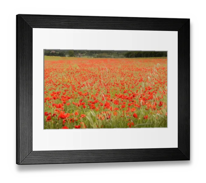 Framed Print : Europe, France, Provence-Alpes-Cote d Azur, Vaucluse, Roussillon Framed Print : Europe, France, Provence-Alpes-Cote d Azur, Vaucluse, Roussillon