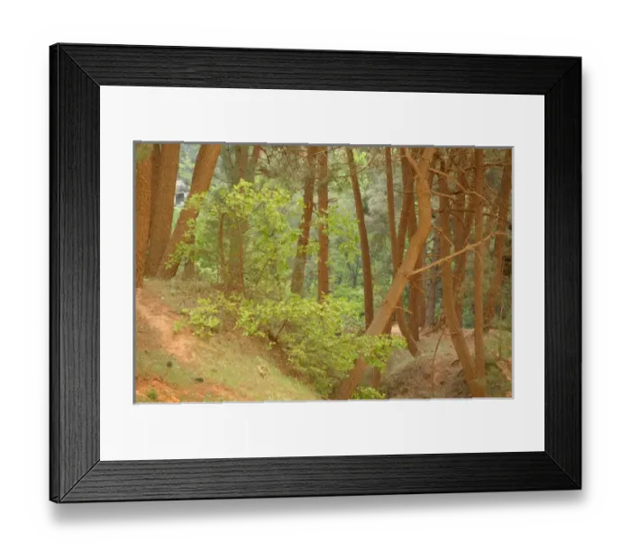 Framed Print : Europe, France, Provence-Alpes-Cote d Azur, Vaucluse, Roussillon Framed Print : Europe, France, Provence-Alpes-Cote d Azur, Vaucluse, Roussillon