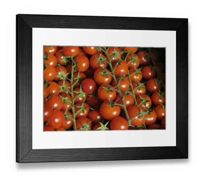 Framed Print : Europe, France, Centre, Chatillon-sur-Loire Framed Print : Europe, France, Centre, Chatillon-sur-Loire