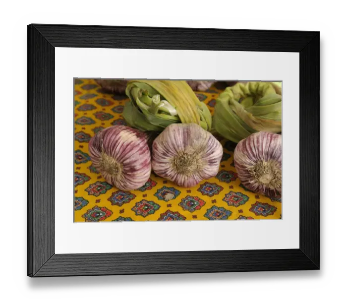 Framed Print : Europe, France, Provence-Alpes-Cote d Azur, Vaucluse, Lourmarin Framed Print : Europe, France, Provence-Alpes-Cote d Azur, Vaucluse, Lourmarin
