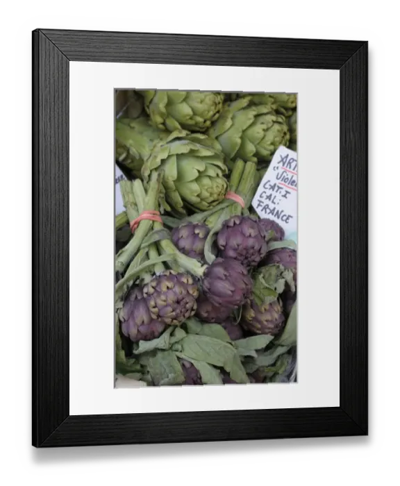 Framed Print : Europe, France, Provence-Alpes-Cote d Azur, Vaucluse, Lourmarin Framed Print : Europe, France, Provence-Alpes-Cote d Azur, Vaucluse, Lourmarin