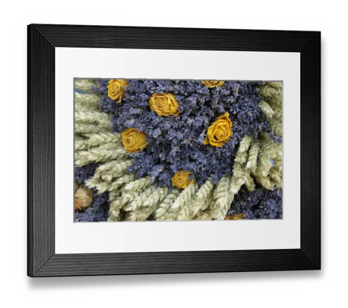 Framed Print : Europe, France, Provence-Alpes-Cote d Azur, Vaucluse, Lourmarin. Dried yellow roses