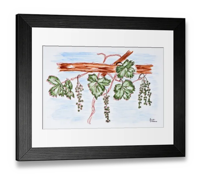 Framed Print : Artwork by Scott Lawrence