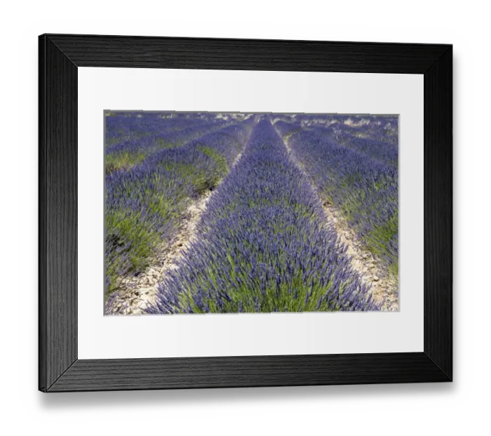 Framed Print : Banon, Provence, France