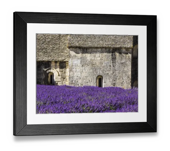 Framed Print : Europe; France; Provence; Seananque Abbey; Seananque Abbey with Lavender in full bloom
