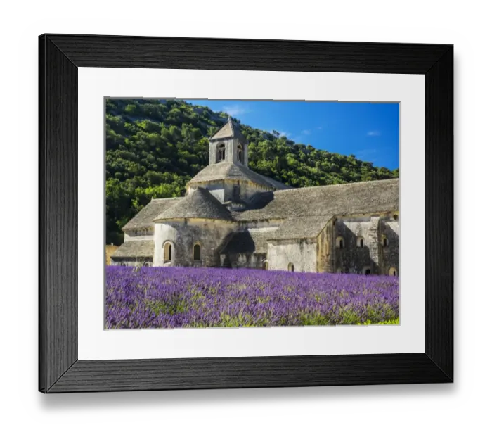 Framed Print : Europe; France; Provence; Seananque Abbey; Seananque Abbey with Lavender in full bloom