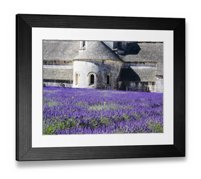 Framed Print : Europe; France; Provence; Seananque Abbey; Seananque Abbey with Lavender in full bloom