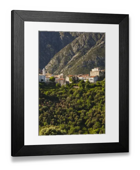 Framed Print : France, Corsica, Haute-Corse Department, La Balagne Region, Belgodere, elevated town view Framed Print : France, Corsica, Haute-Corse Department, La Balagne Region, Belgodere, elevated town view
