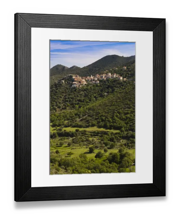 Framed Print : France, Corsica, Haute-Corse Department, La Balagne Region, Belgodere, elevated town view Framed Print : France, Corsica, Haute-Corse Department, La Balagne Region, Belgodere, elevated town view