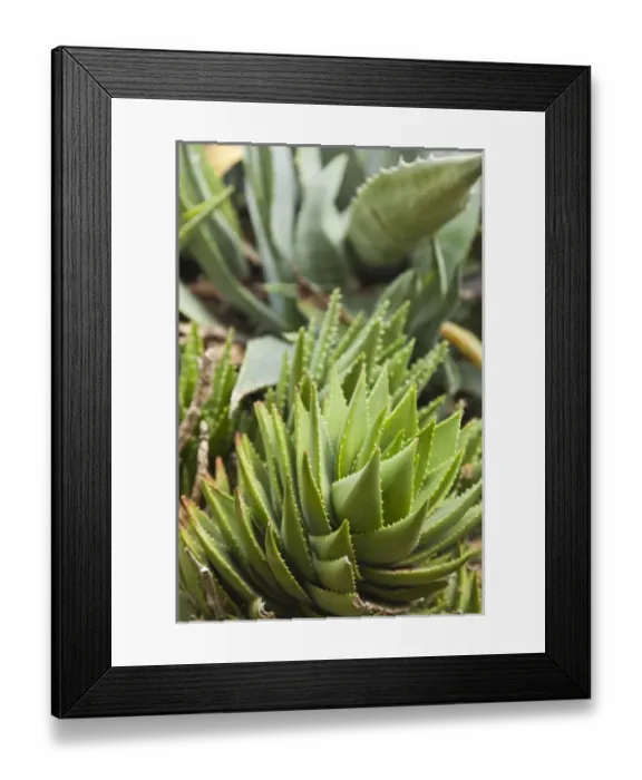 Framed Print : France, Corsica, Haute-Corse Department, La Balagne Region, Pigna, artisanal village Framed Print : France, Corsica, Haute-Corse Department, La Balagne Region, Pigna, artisanal village
