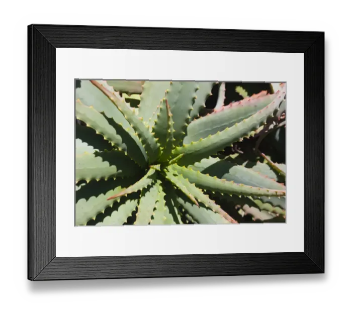 Framed Print : France, Corsica, Haute-Corse Department, La Balagne Region, Ile Rousse, Ile de la Pietra island Framed Print : France, Corsica, Haute-Corse Department, La Balagne Region, Ile Rousse, Ile de la Pietra island