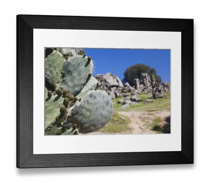 Framed Print : France, Corsica, Corse-du-Sud Department, Corsica South Coast Region, Filitosa, archeological Framed Print : France, Corsica, Corse-du-Sud Department, Corsica South Coast Region, Filitosa, archeological