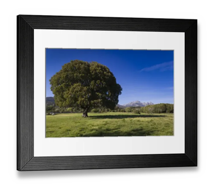 Framed Print : France, Corsica, Corse-du-Sud Department, La Alta Rocca Region, Quenza, view of