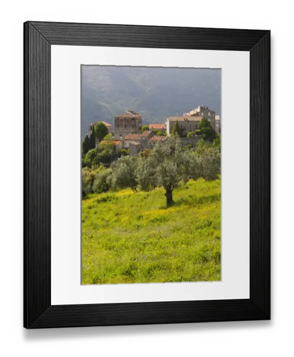 Framed Print : France, Corsica, Corse-du-Sud Department, La Alta Rocca Region, Ste-Lucie de Tallano Framed Print : France, Corsica, Corse-du-Sud Department, La Alta Rocca Region, Ste-Lucie de Tallano