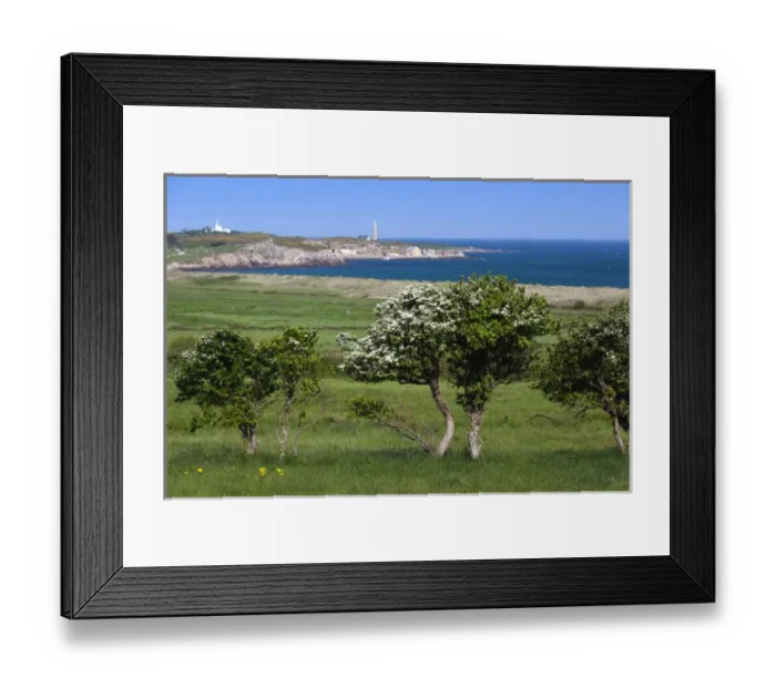 Framed Print : France, Normandy Region, Manche Department, Fermanville, elevated coastal view towards Framed Print : France, Normandy Region, Manche Department, Fermanville, elevated coastal view towards