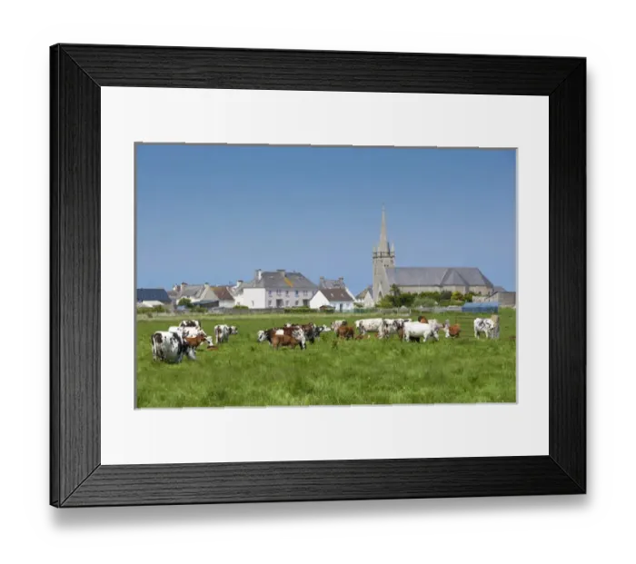 Framed Print : France, Normandy Region, Manche Department, D-Day Beaches Area, Les Gougins, town Framed Print : France, Normandy Region, Manche Department, D-Day Beaches Area, Les Gougins, town