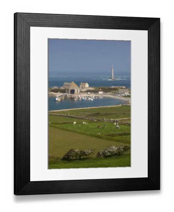 Framed Print : France, Normandy Region, Manche Department, Goury, elevated town view and the Cap Framed Print : France, Normandy Region, Manche Department, Goury, elevated town view and the Cap