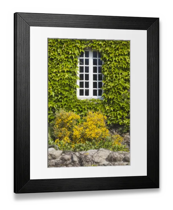 Framed Print : France, Normandy Region, Manche Department, St-Germain des Vaux, window detail Framed Print : France, Normandy Region, Manche Department, St-Germain des Vaux, window detail