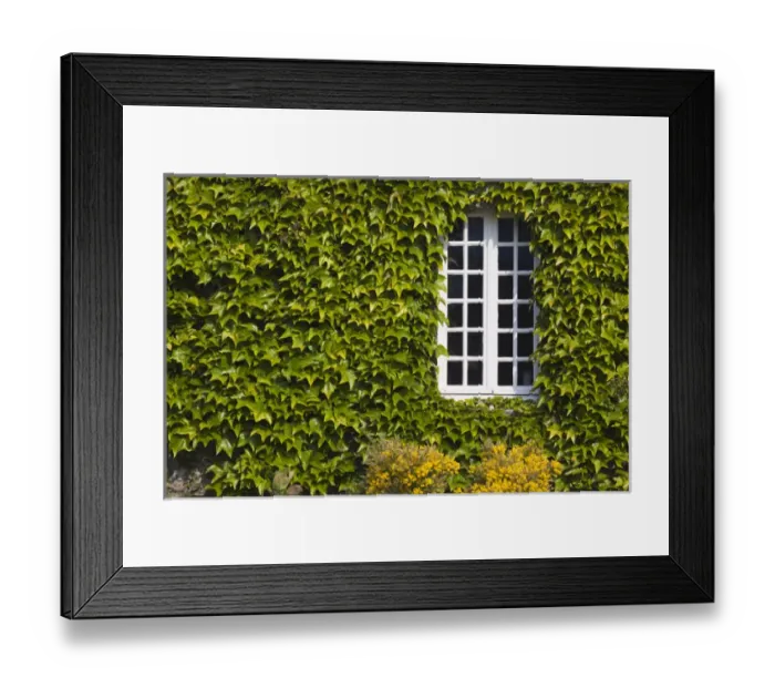 Framed Print : France, Normandy Region, Manche Department, St-Germain des Vaux, window detail Framed Print : France, Normandy Region, Manche Department, St-Germain des Vaux, window detail