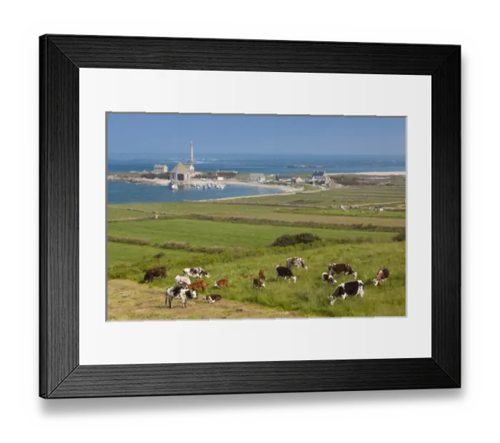 Framed Print : France, Normandy Region, Manche Department, Goury, elevated town view and the Cap Framed Print : France, Normandy Region, Manche Department, Goury, elevated town view and the Cap