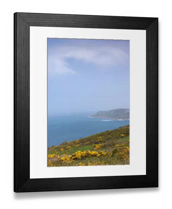 Framed Print : France, Normandy Region, Manche Department, Nez de Jobourg, view of the Cap de la Hague Framed Print : France, Normandy Region, Manche Department, Nez de Jobourg, view of the Cap de la Hague