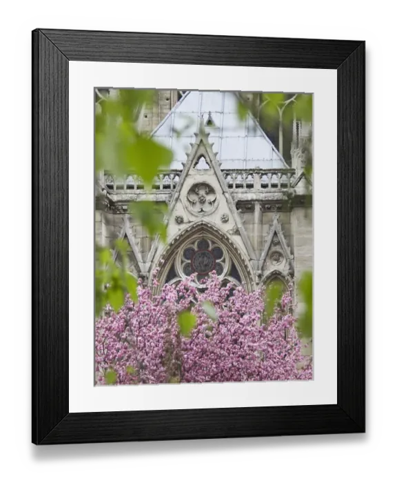 Framed Print : Notre Dame cathedral, Paris, France