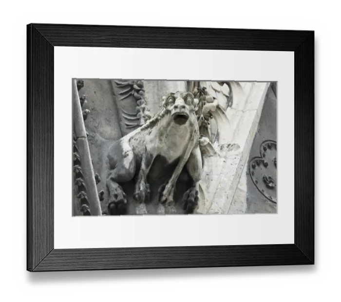 Framed Print : Gargoyle perched on Notre Dame cathedral, Paris, France Framed Print : Gargoyle perched on Notre Dame cathedral, Paris, France