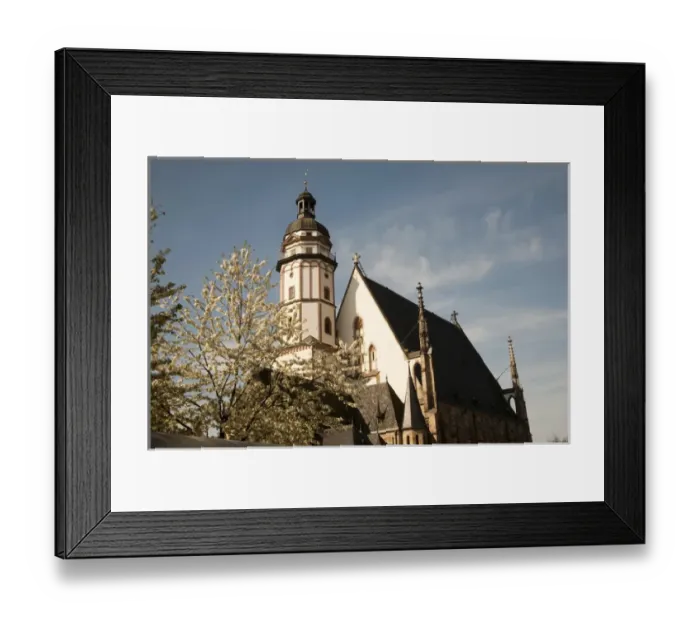 Framed Print : LEIPZIG18793-2012-BARTRUFF. CR2 - Cherry trees abloom and the famed St