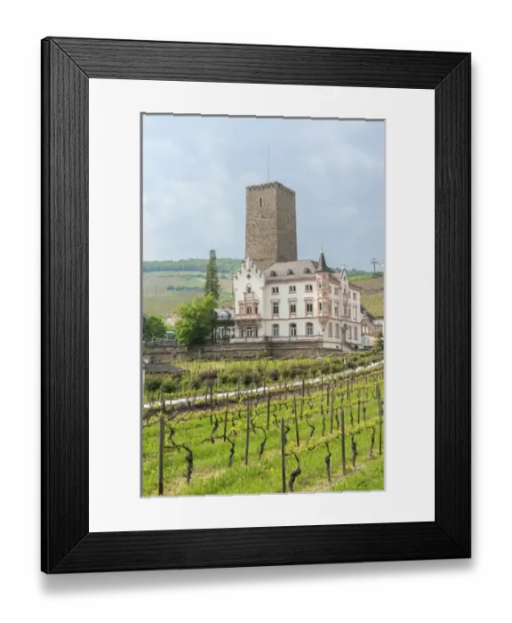 Framed Print : Europe, Germany, Hessen, Rudesheim, Boosenburg Castle, Carl Jung vineyard