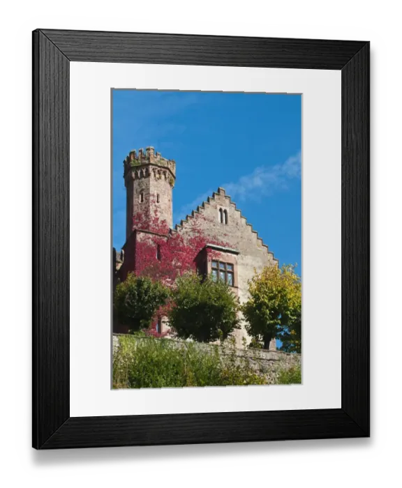 Framed Print : The Mittelburg (Middle Castle) in Neckarsteinach, Germany Framed Print : The Mittelburg (Middle Castle) in Neckarsteinach, Germany