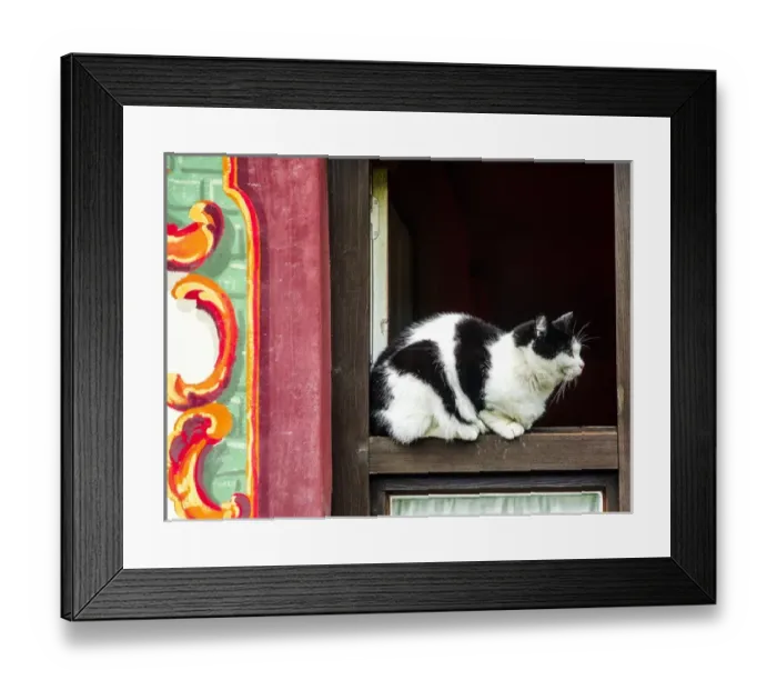 Framed Print : Oberammagau, Germany. Black and White Tuxedo Cat sits on a window ledge of a painted Framed Print : Oberammagau, Germany. Black and White Tuxedo Cat sits on a window ledge of a painted