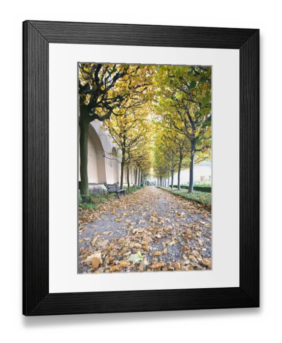 Framed Print : Rose garden in the Neue Residenz (New Palace) in Bamberg, Germany