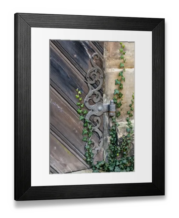 Framed Print : Rose garden in the Neue Residenz (New Palace) in Bamberg, Germany