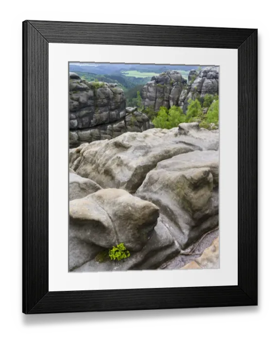 Framed Print : Elbe Sandstone Mountains (Elbsandsteingebirge) in the Saxon Switzerland NP (Saechsische Framed Print : Elbe Sandstone Mountains (Elbsandsteingebirge) in the Saxon Switzerland NP (Saechsische