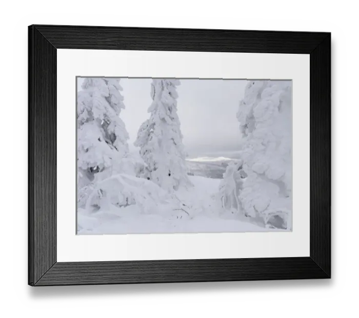 Framed Print : Snowy forest in the National Park Bavarian Forest (Bayerischer Wald) in the deep Framed Print : Snowy forest in the National Park Bavarian Forest (Bayerischer Wald) in the deep
