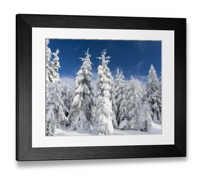 Framed Print : Snowy forest in the National Park Bavarian Forest (Bayerischer Wald) in the deep of winter Framed Print : Snowy forest in the National Park Bavarian Forest (Bayerischer Wald) in the deep of winter
