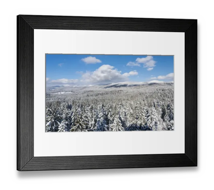 Framed Print : National Park Bavarian Forest (Bayerischer Wald) in the deep of winter. View towards mount Lusen Framed Print : National Park Bavarian Forest (Bayerischer Wald) in the deep of winter. View towards mount Lusen