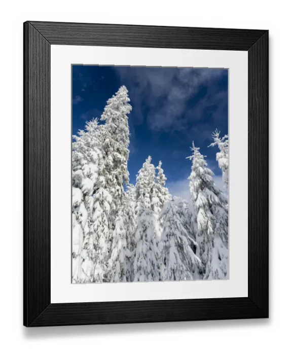 Framed Print : Snowy forest in the National Park Bavarian Forest (Bayerischer Wald) in the deep of winter Framed Print : Snowy forest in the National Park Bavarian Forest (Bayerischer Wald) in the deep of winter