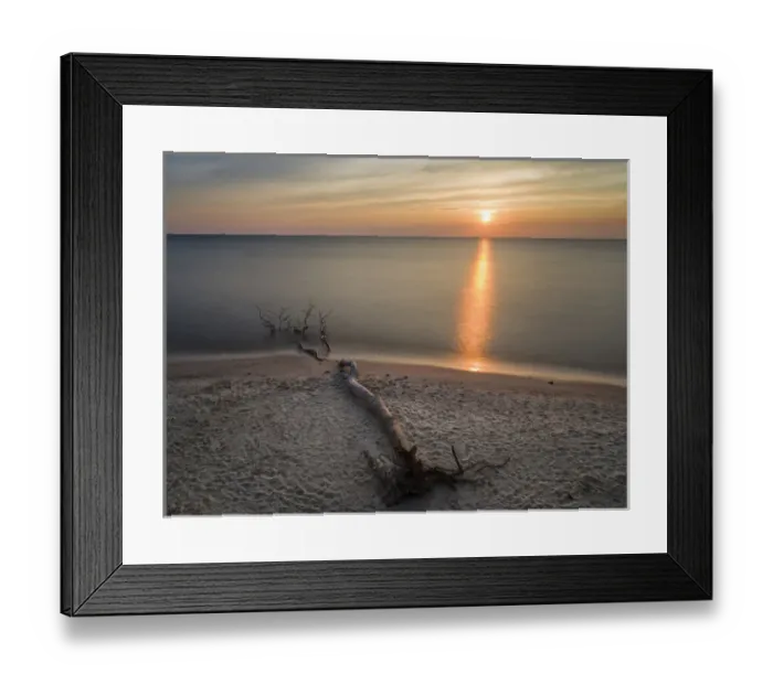 Framed Print : The Weststrand (western beach) on the Darss Peninsula Framed Print : The Weststrand (western beach) on the Darss Peninsula