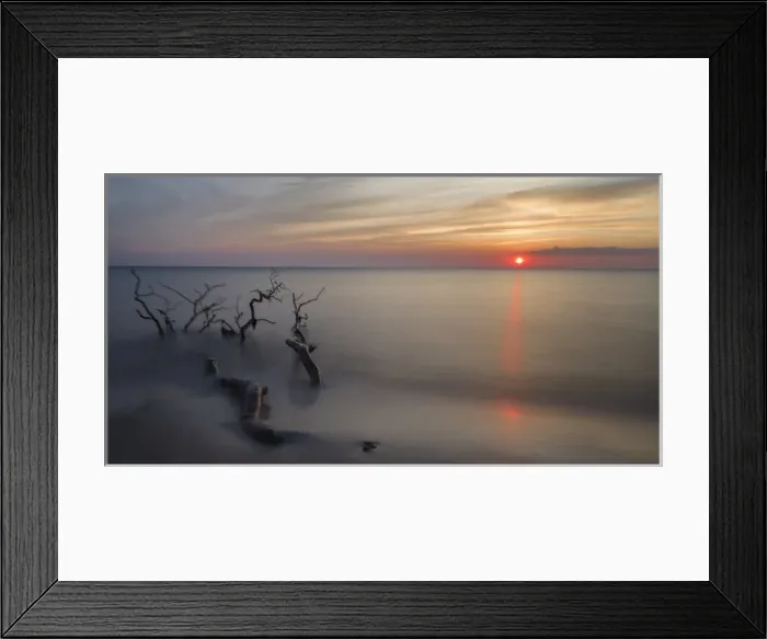 Framed Print : The Weststrand (western beach) on the Darss Peninsula Framed Print : The Weststrand (western beach) on the Darss Peninsula