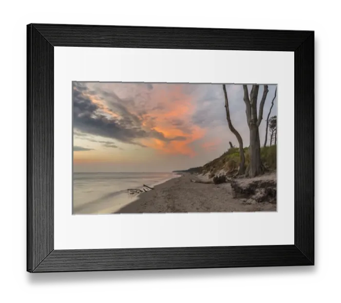 Framed Print : The Weststrand (western beach) on the Darss Peninsula Framed Print : The Weststrand (western beach) on the Darss Peninsula