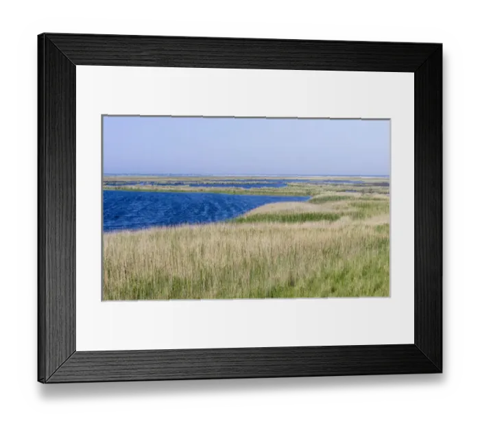 Framed Print : Landscape with lagoons at Darsser Ort on the Darss Peninsula. Western Pomerania Lagoon Area NP Framed Print : Landscape with lagoons at Darsser Ort on the Darss Peninsula. Western Pomerania Lagoon Area NP